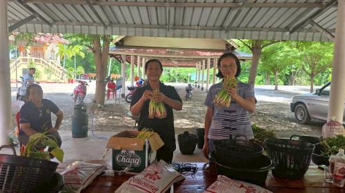 🥬 อำเภอสระโบสถ์ โดยสำนักงานพัฒนาชุมชนอำเภอสระโบสถ์ จัดโครงการสนับสนุนกิจกรรมตามแผนการขับเคลื่อนการขจัดความยากจน จัดกิจกรรมปลูกผักในเข่งเพื่อสร้างความมั่นคงทางอาหาร 🥬